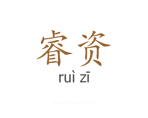 睿资