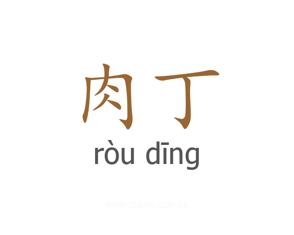 肉丁