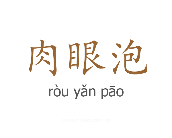 肉眼泡