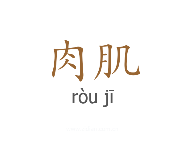 肉肌