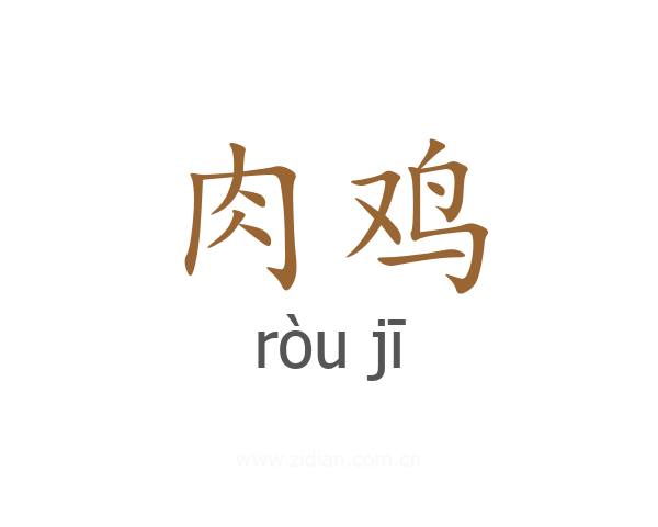 肉鸡