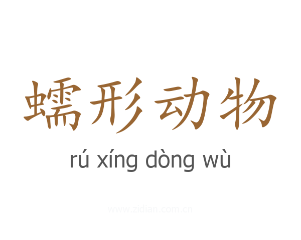 蠕形动物