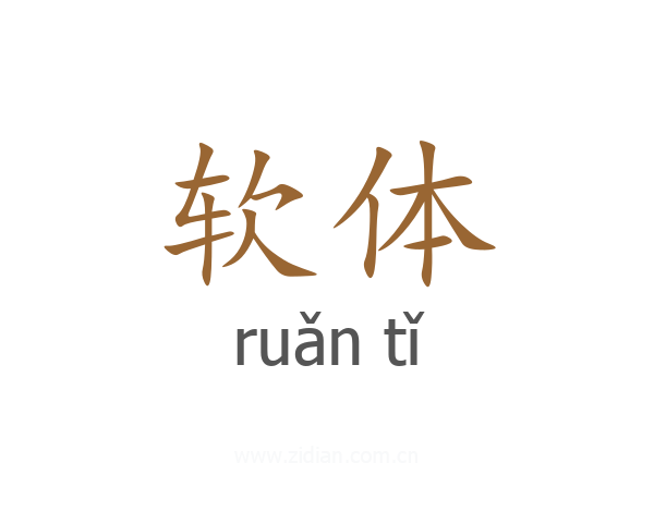 软体