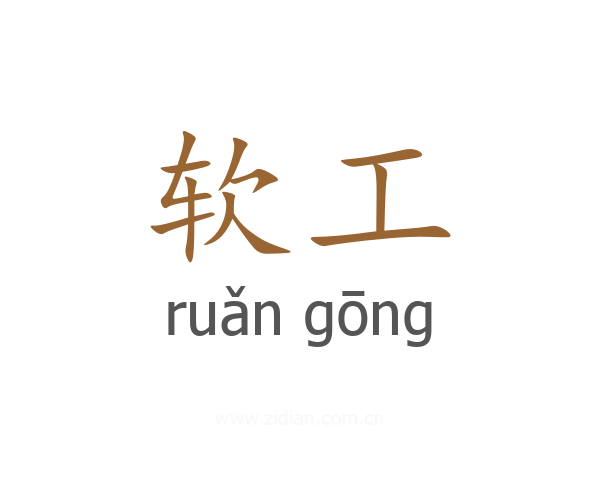 软工