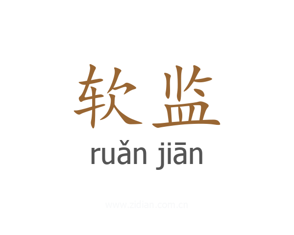 软监