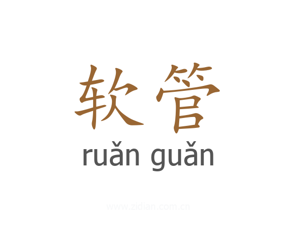 软管