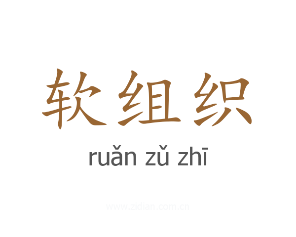 软组织