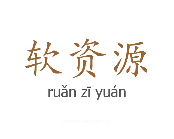 软资源
