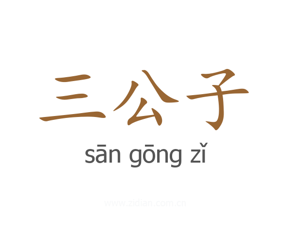三公子