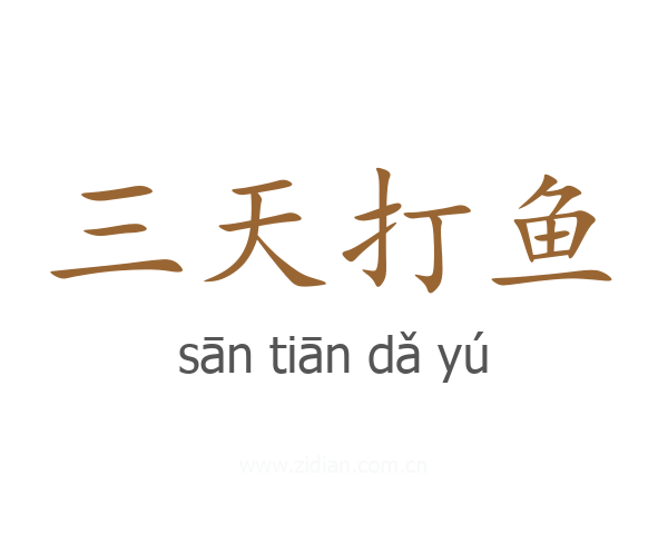 三天打鱼