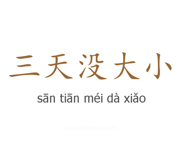 三天没大小