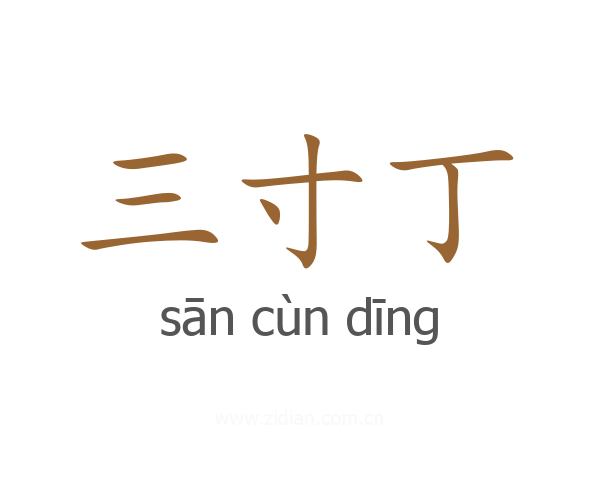 三寸丁