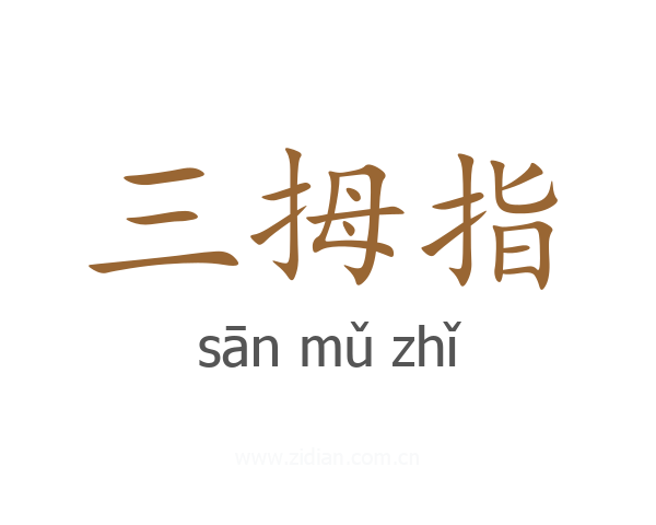 三拇指