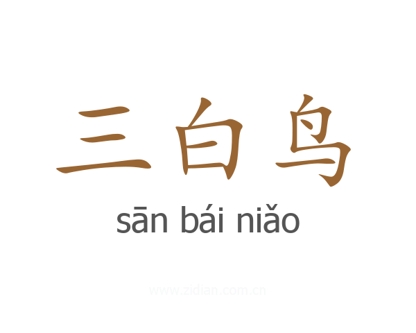 三白鸟