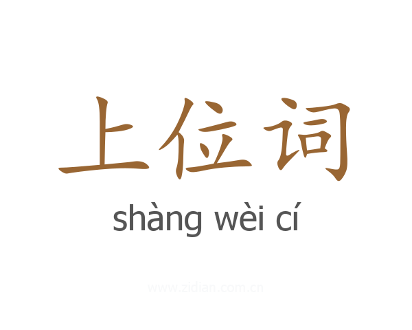上位词