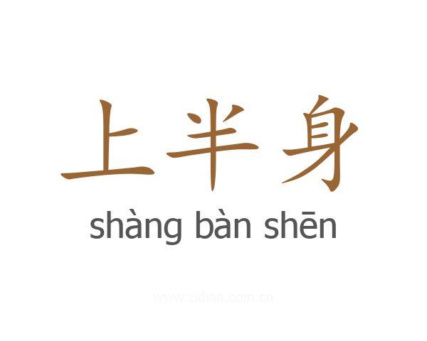 上半身