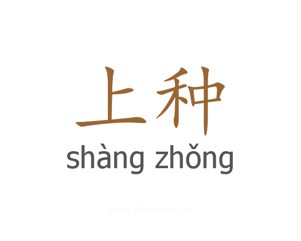 上种