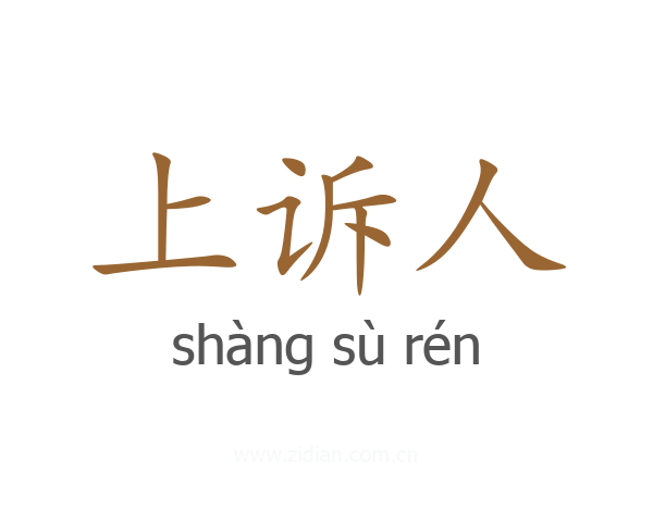 上诉人