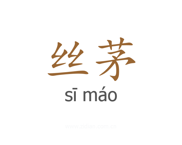 丝茅
