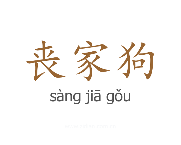 丧家狗