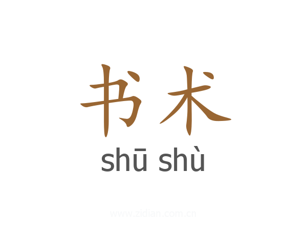 书术