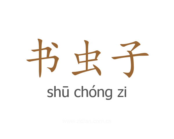 书虫子