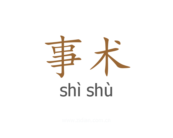 事术