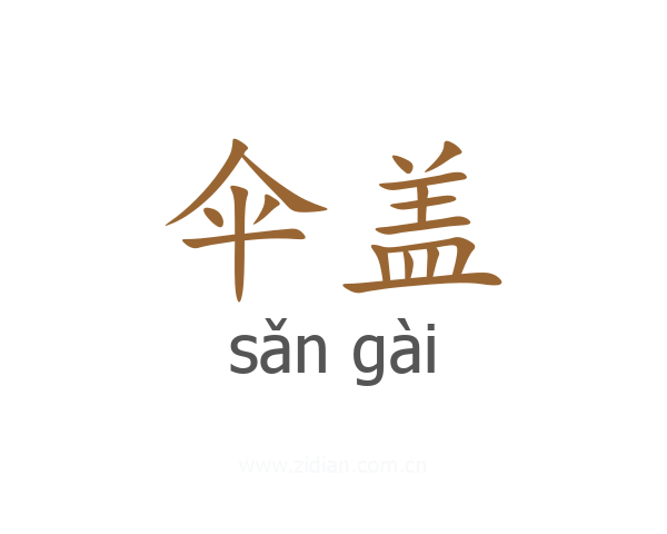 伞盖