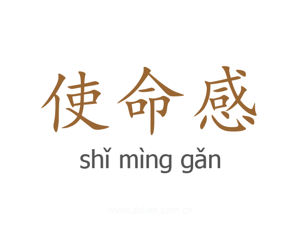 使命感