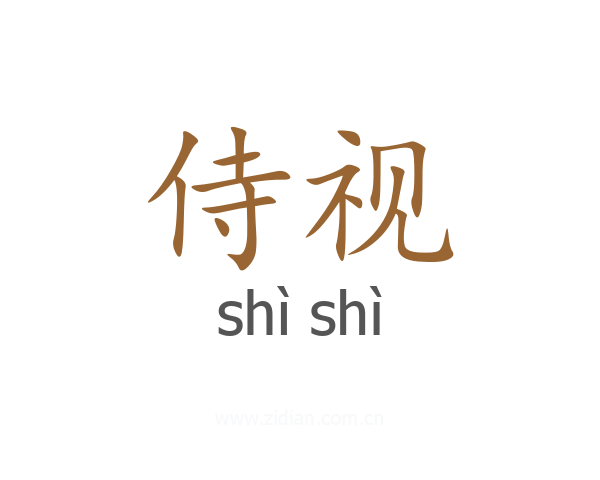 侍视
