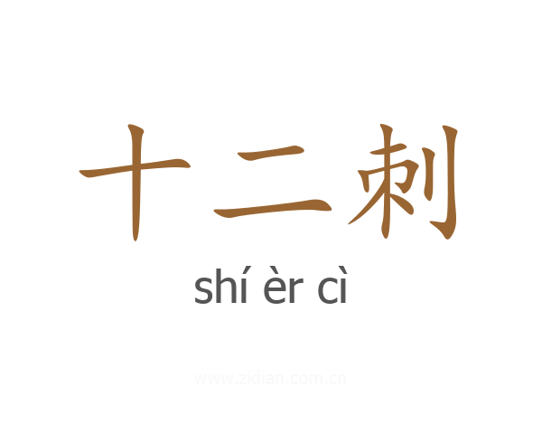 十二刺