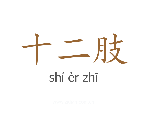 十二肢