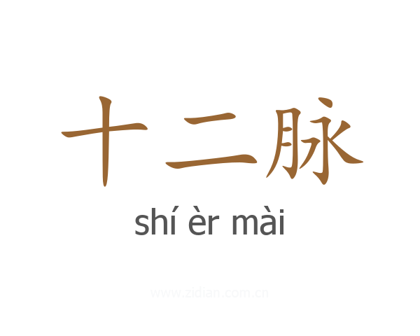 十二脉