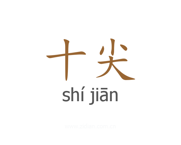 十尖