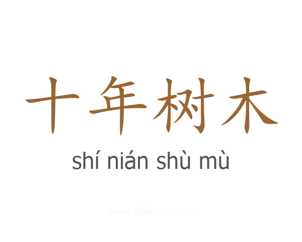 十年树木