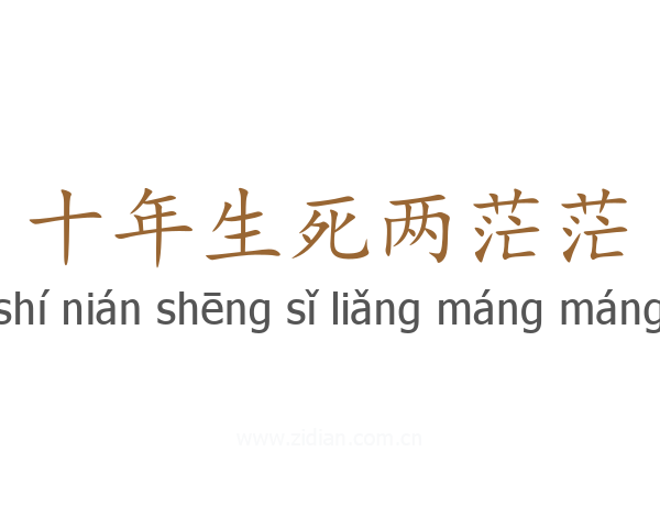 十年生死两茫茫