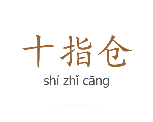 十指仓