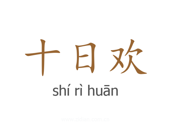 十日欢
