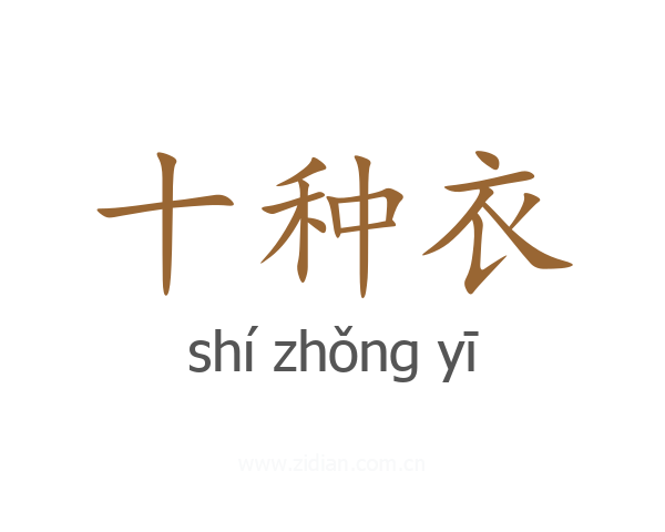 十种衣