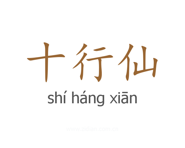 十行仙