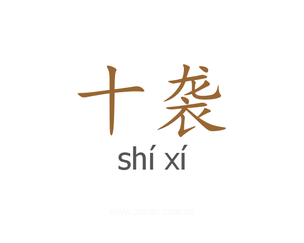 十袭
