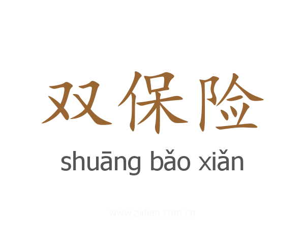 双保险