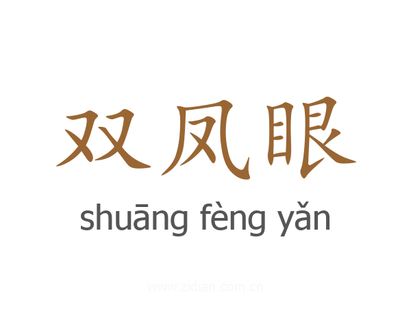 双凤眼