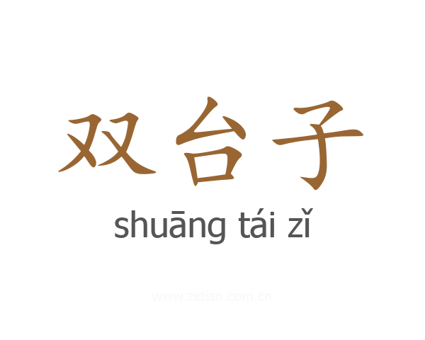 双台子