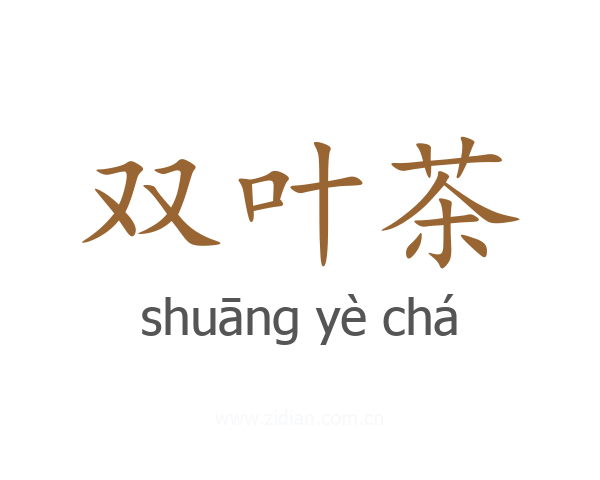 双叶茶