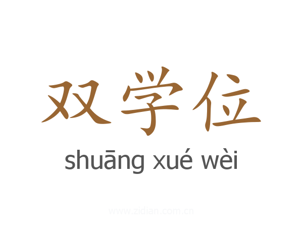 双学位