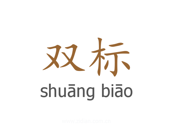 双标