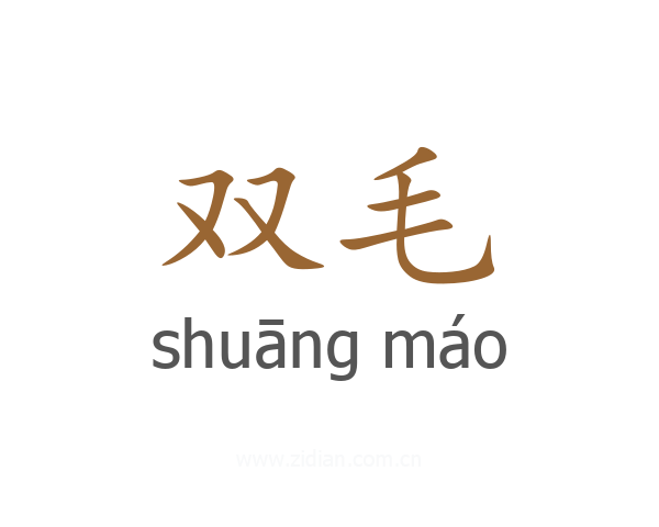 双毛