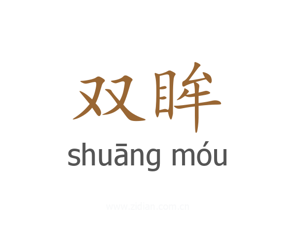 双眸