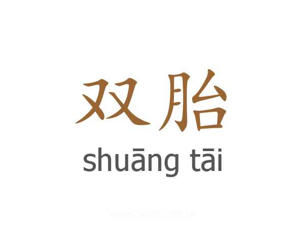 双胎